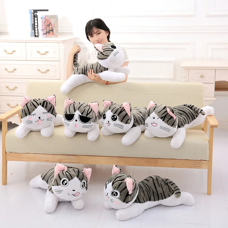 Cat Plush Toys Chi Chi's Cat Stuffed Doll Soft Animal Dolls Cheese Cat Stuffed Toys Dolls Pillow Cushion For Kids sweet cat doll