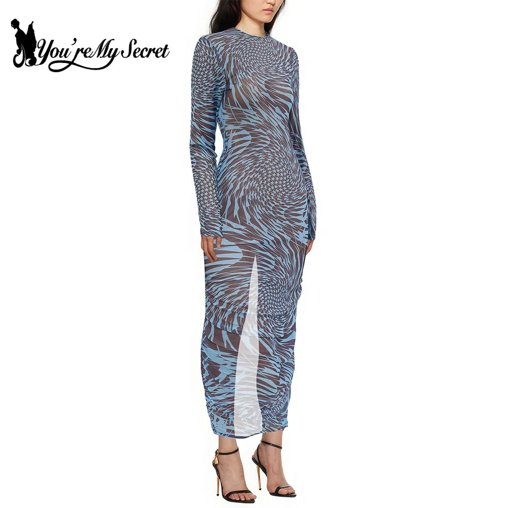 Mesh Print Long Sleeve Sexy See Through Slim Beach Vestido Weird Puss See Through Dress Women Bodycon 2024 Lady Y2K Streetwear