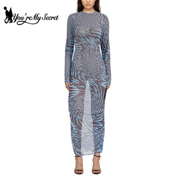 Mesh Print Long Sleeve Sexy See Through Slim Beach Vestido Weird Puss See Through Dress Women Bodycon 2024 Lady Y2K Streetwear