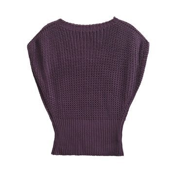 Women Fall Sweater Sleeveless Knitted Loose Pullover O Neck Purple Color Lady Sweater Women Clothing Streetwear 5536/100